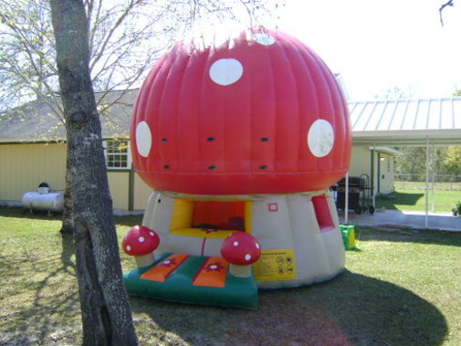 mushroom